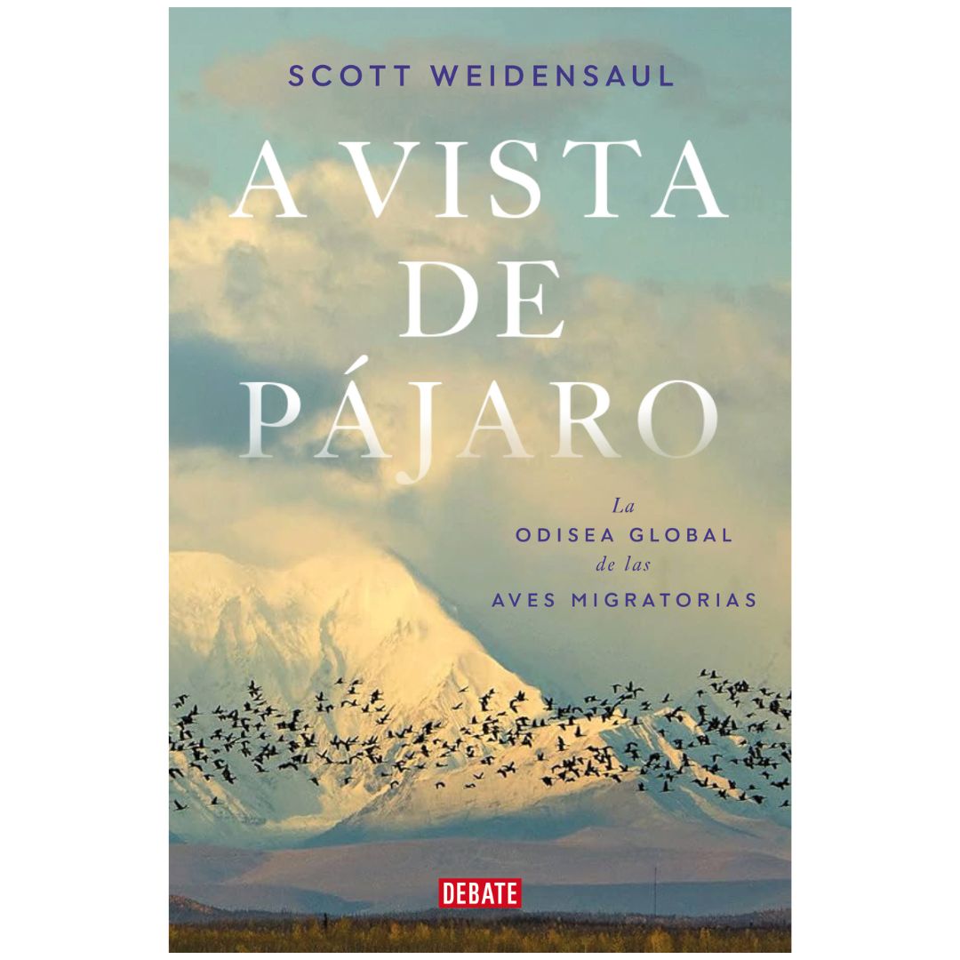 A vista de pájaro