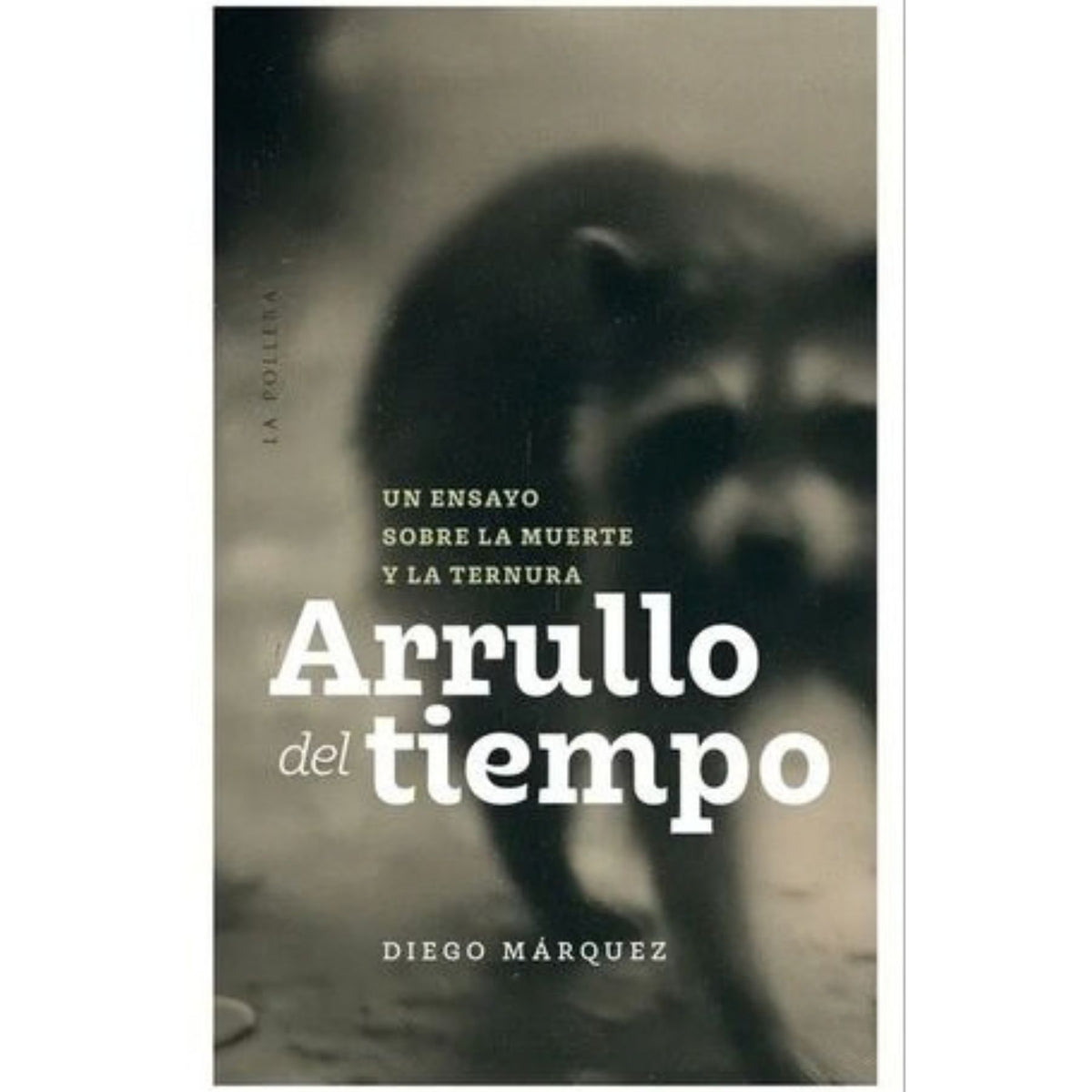 ARRULLO DEL TIEMPO