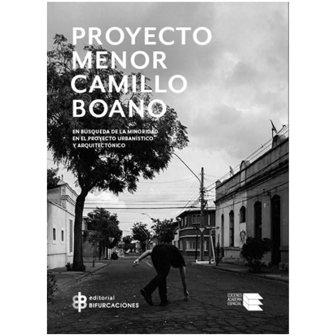 Proyecto menor Camillo Boano