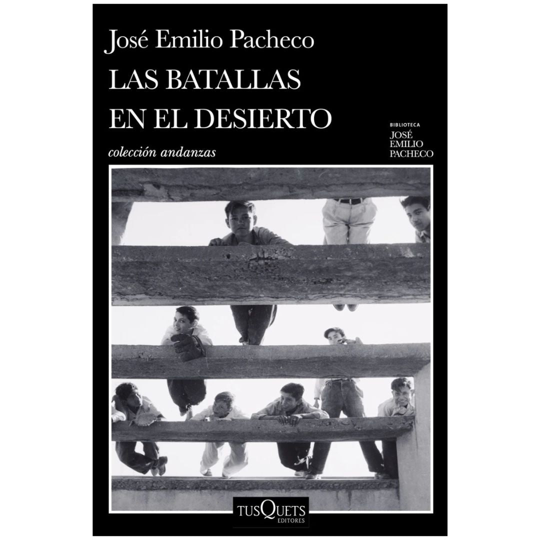 Batallas en el desierto. Las