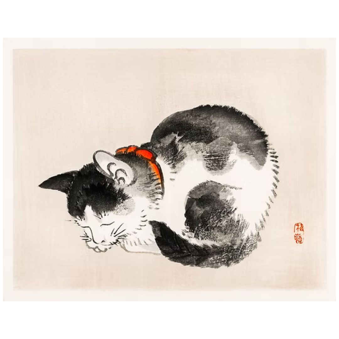 DODO PRINT Gato Bairei