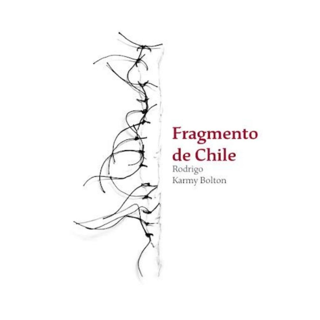 Fragmento De Chile