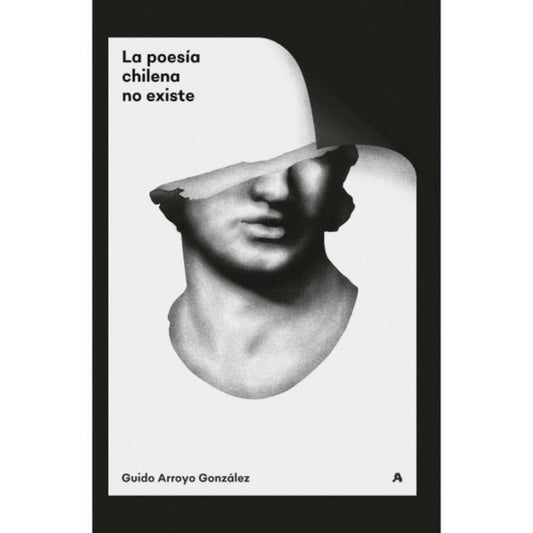 Poesia Chilena No Existe
