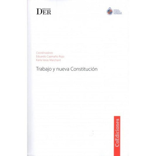 Trabajo Y Nueva Constitucion