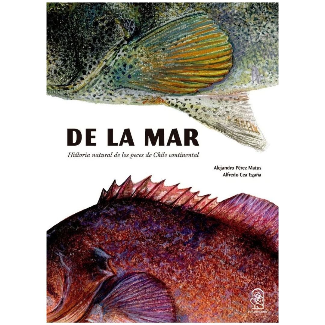 DE LA MAR