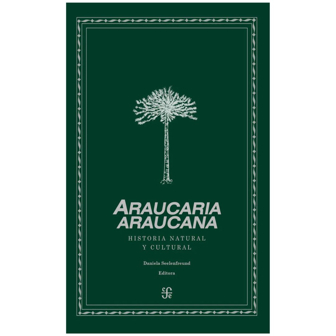 Araucaria Araucana