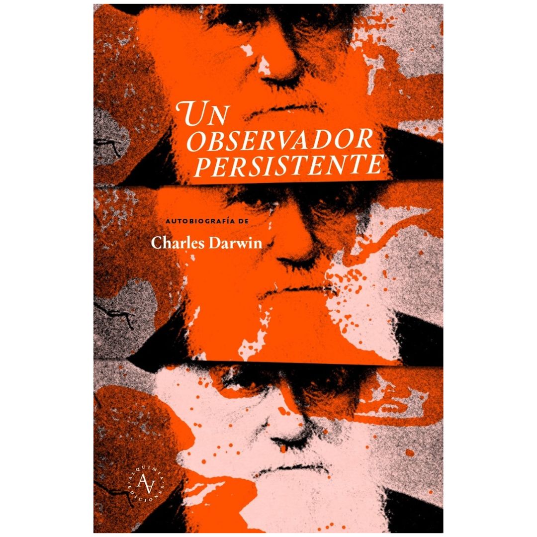 Observador persistente. Un