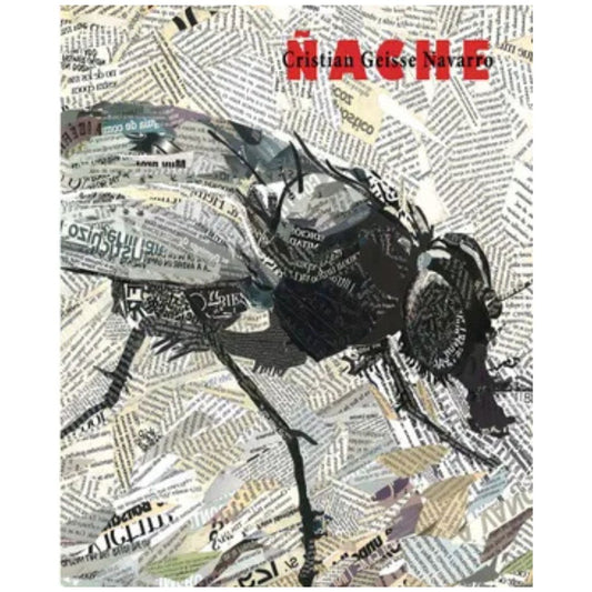 Ñache