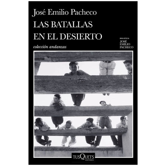 Batallas en el desierto. Las