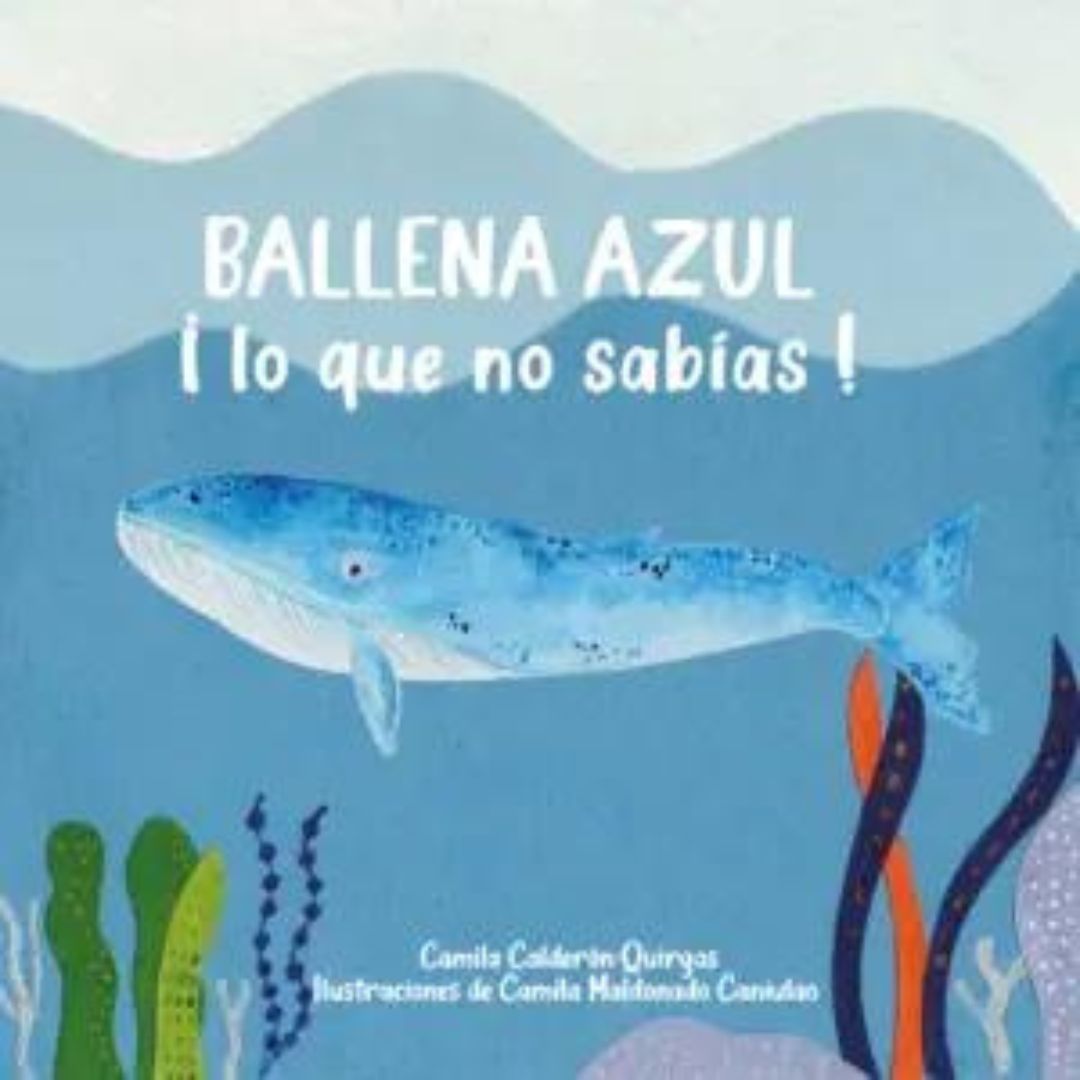 Ballena Azul, ¡lo que no sabías!
