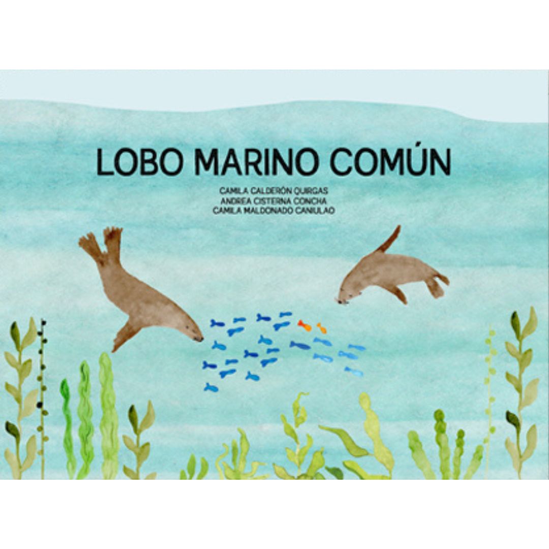 Lobo marino común