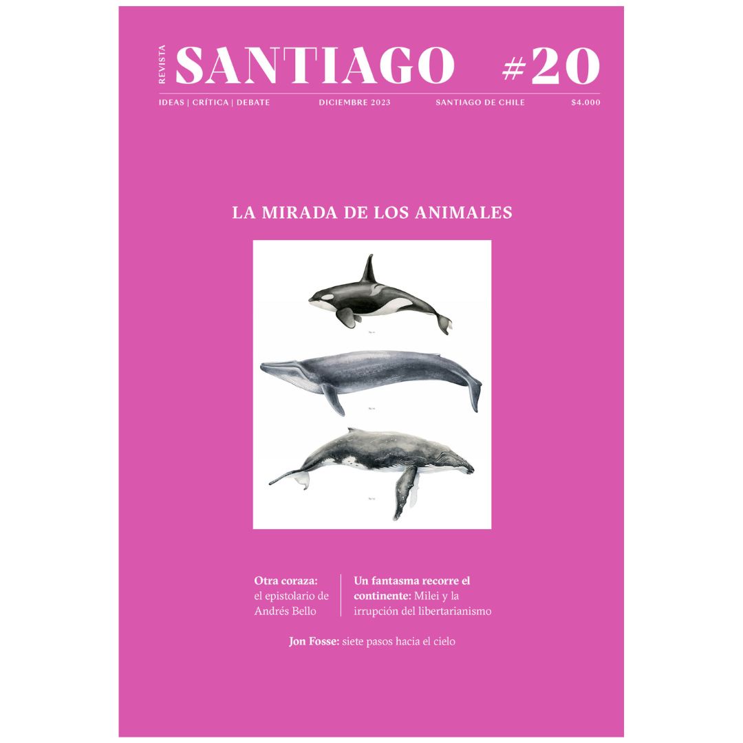 Revista Santiago n° 20