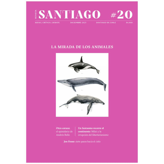 Revista Santiago n° 20