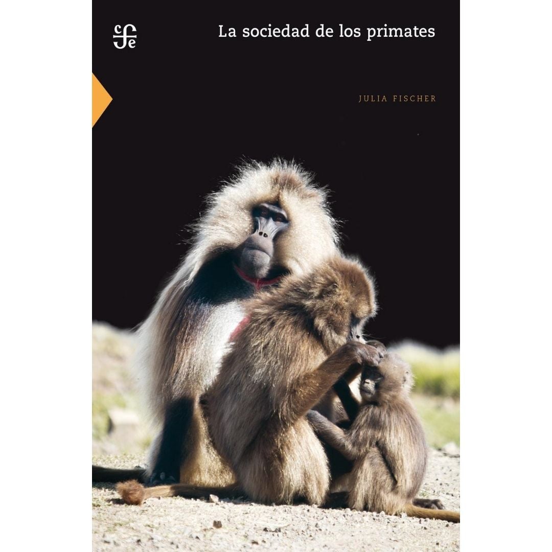 Sociedad De Los Primates