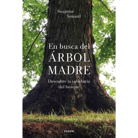 En busca del árbol madre