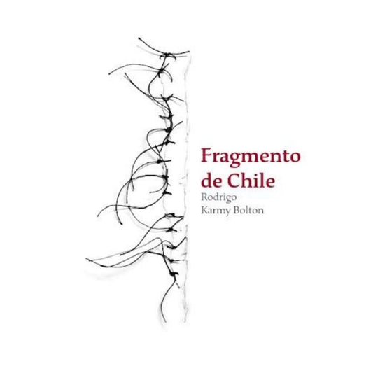 Fragmento De Chile