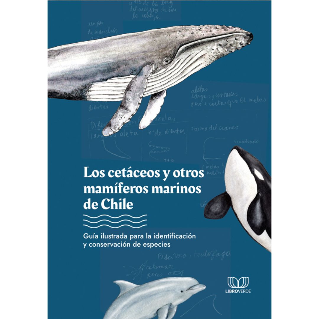 Los cetáceos y otros mamíferos marinos de Chile