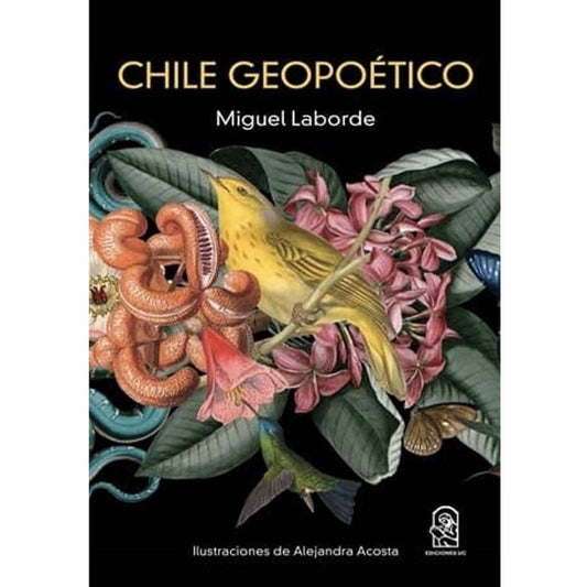 Chile Geopoetico