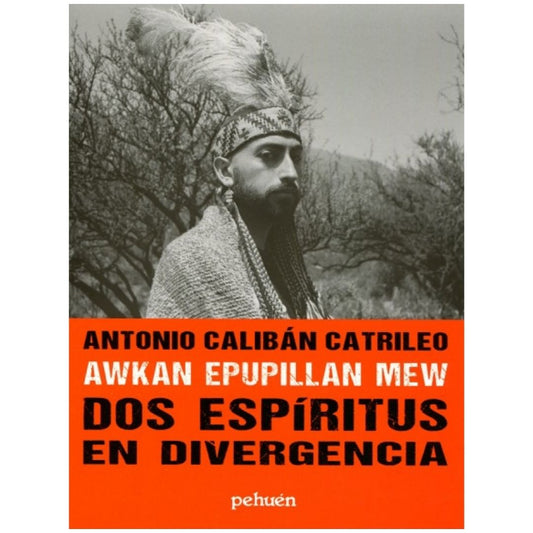 Dos Espiritus En Divergencia