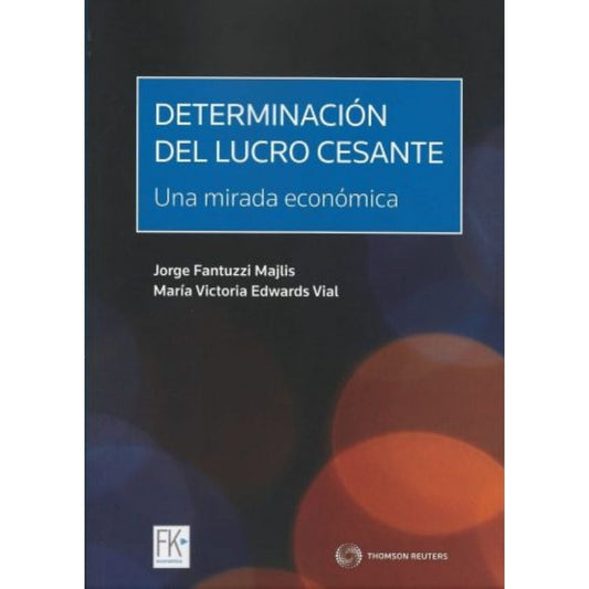 Determinacion De Lucro Cesante: Una Mirada Economica