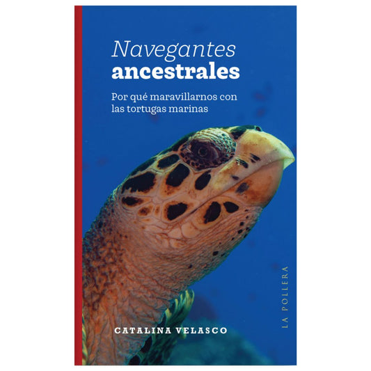 Navegantes ancestrales