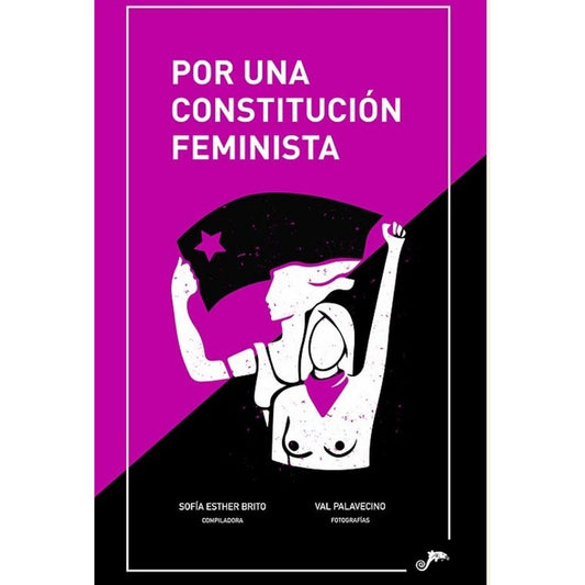 Por Una Constitucion Feminista