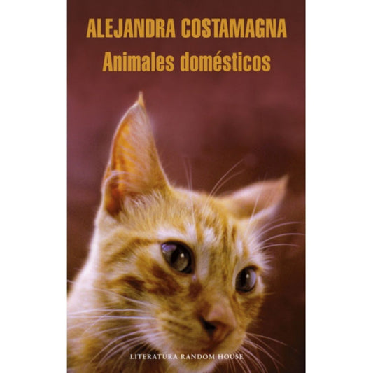 Animales Domesticos