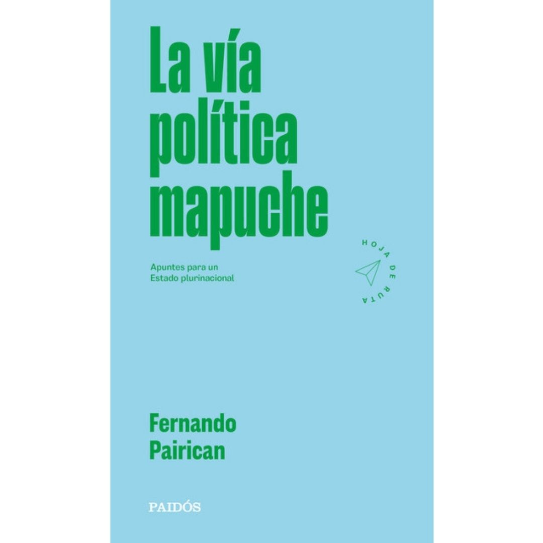 La vía política mapuche