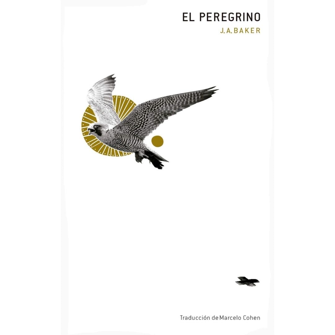 Peregrino (Baker)